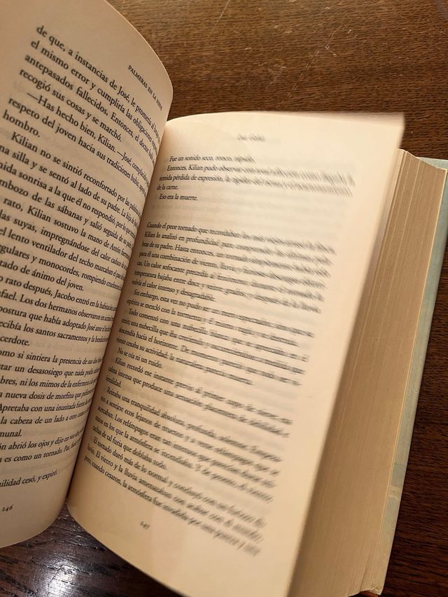 Palmeras en la nieve, Luz Gabas