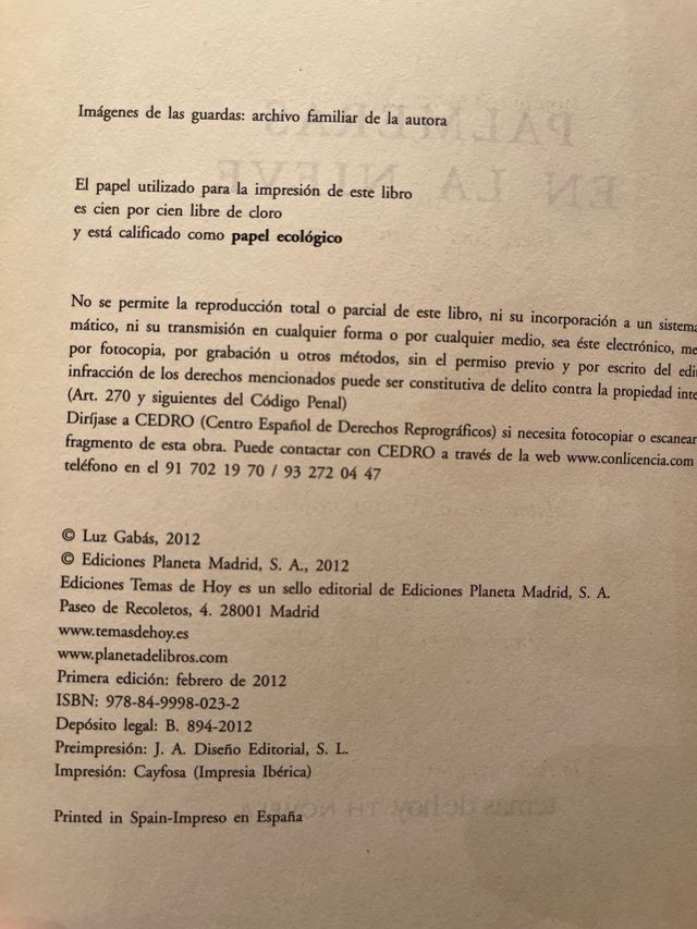 Palmeras en la nieve, Luz Gabas