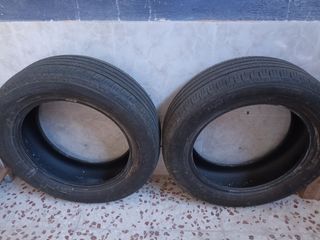 Neumáticos dunlop pareja