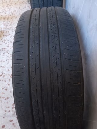 Neumáticos dunlop pareja