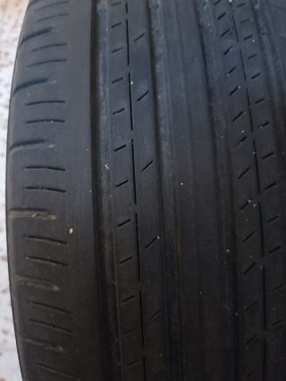 Neumáticos dunlop pareja