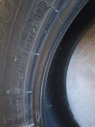 Neumáticos dunlop pareja