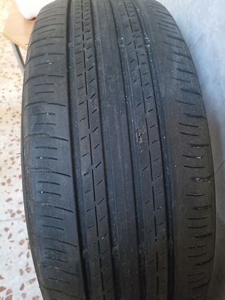 Neumáticos dunlop pareja