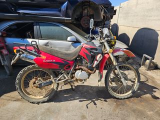 DESPIECE HONLEY 125 CAMPO 