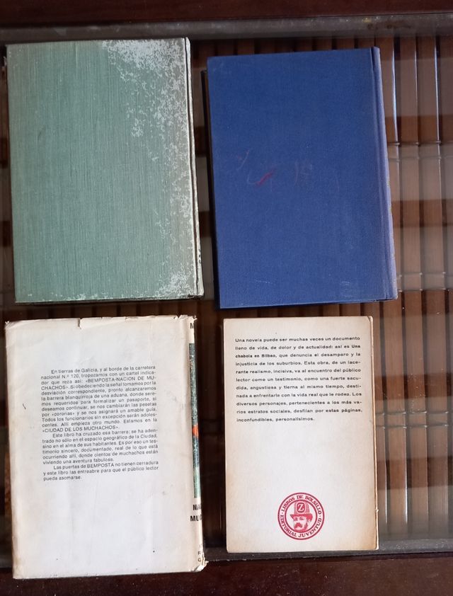 Libros Martín Vigil