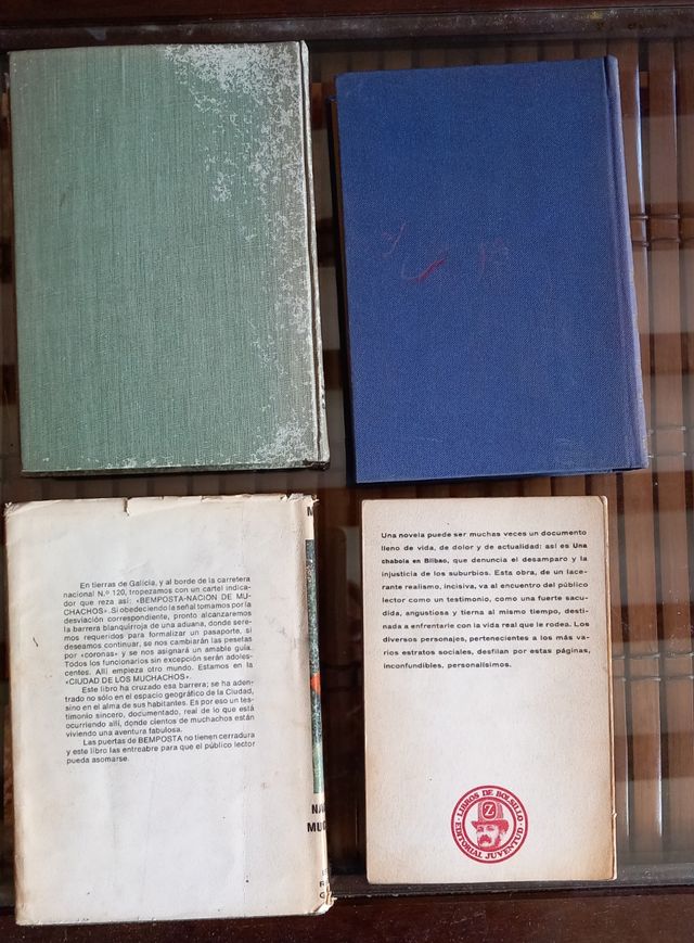 Libros Martín Vigil