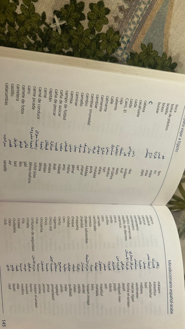 Árabe para viajar a Egipto