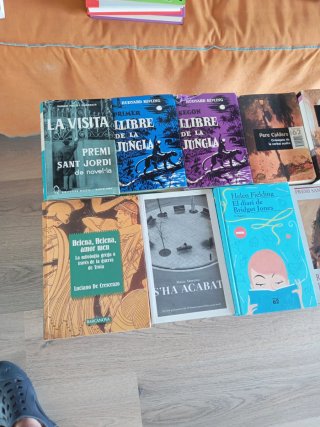 Lote de 13 libros, texto en Catalán