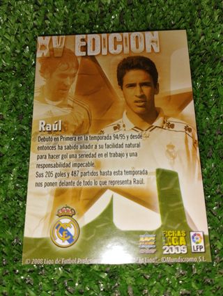 Mundicromo Raúl González XV edicion