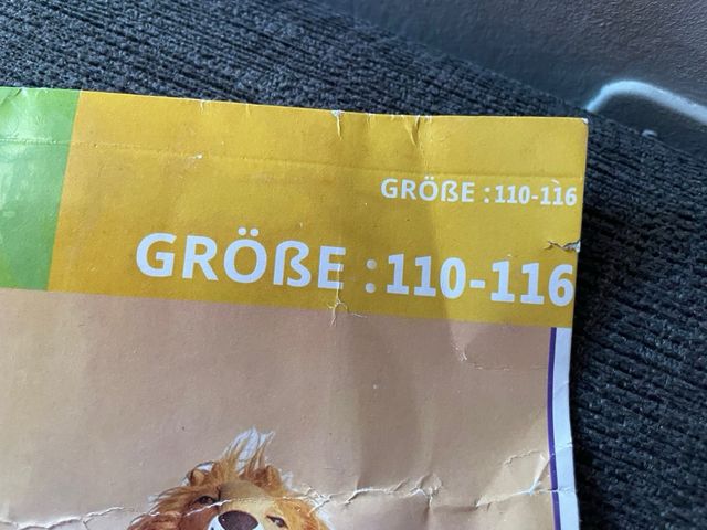 Vestito carnevale Leone