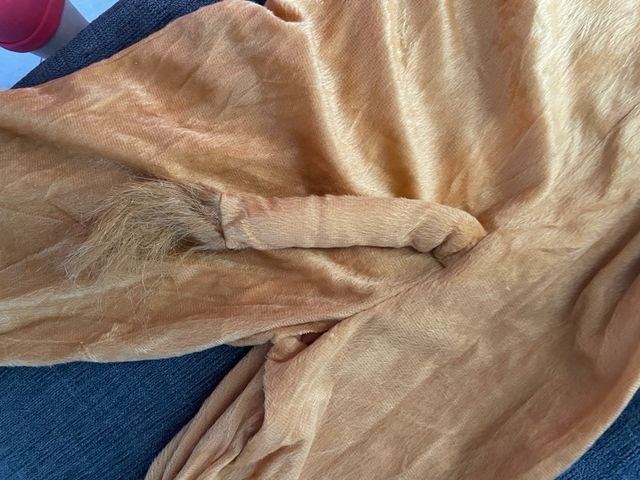 Vestito carnevale Leone