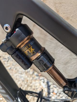 Santa cruz bronson cc