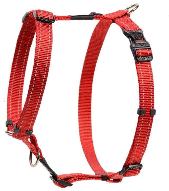 Arnés y correa Rogz.