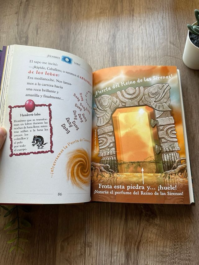 Libro Geronimo Stilton En el reino de la fantasia