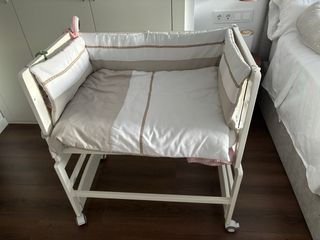 Minicuna allegra