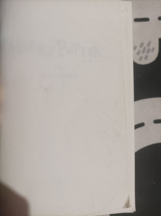 Libro Harry Potter
