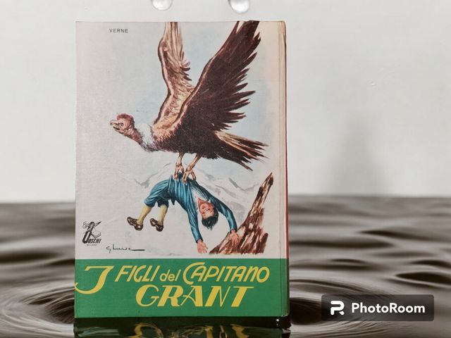I figli del Capitano Grant. Romanzo per ragazzi.