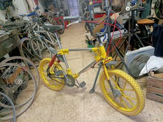 Bicicleta paioli formicone 