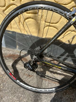Bicicletta da corsa Wilier taglia M-L