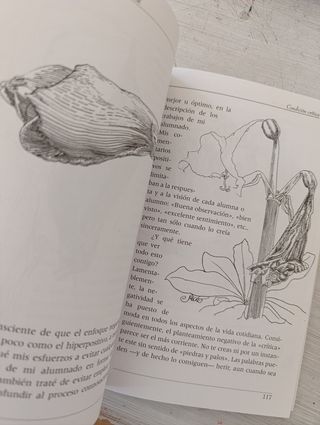 EL PLACER DE DIBUJAR, DE NICK MEGLIN