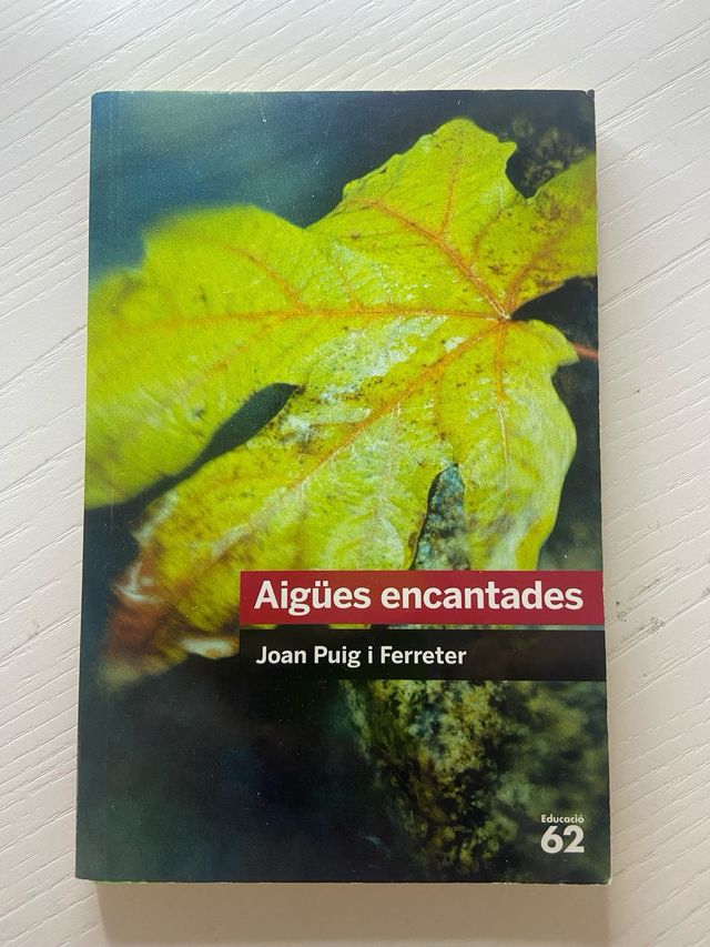 Aigües encantades Joan Puig i Ferreter