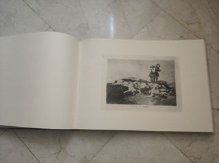 Los Desastres de la Guerra