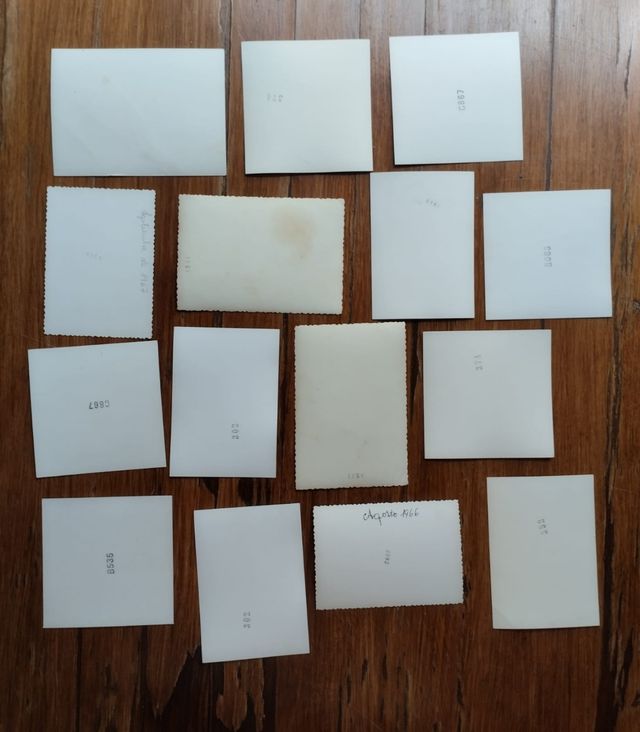 Fotografías artista fallero Francisco Tomás