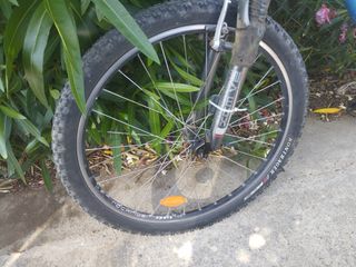 Bicicleta MTB Orbea 