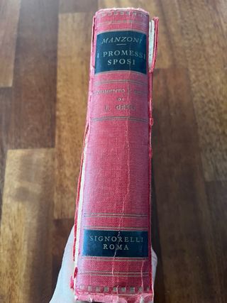 I promessi sposi