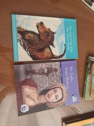 Lote libros inglés