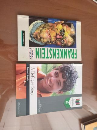 Lote libros inglés
