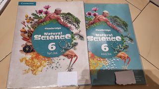 Libros de texto sexto de primaria 