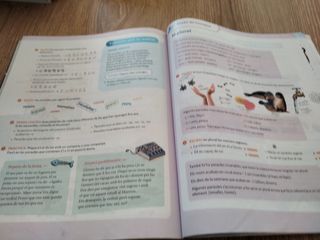 Llengua Catalana 5Primaria Santillana
