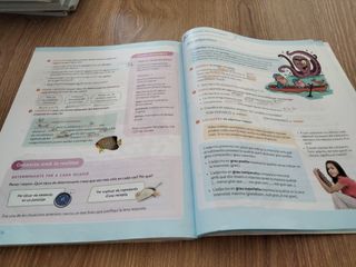 Llengua Catalana 5Primaria Santillana