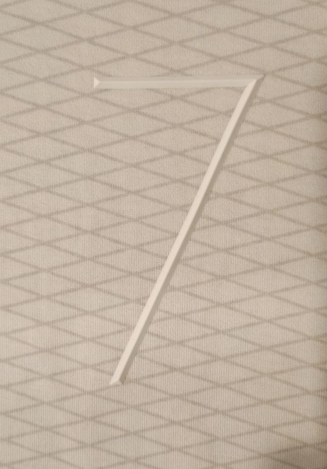 Camiseta Nike T. L  7