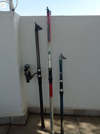 Cañas de pesca 40€