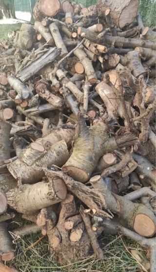 Leña de cerezo / llenya de cirerer
