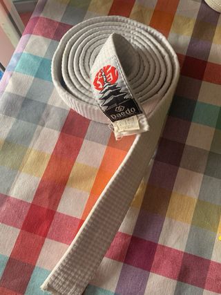 Lote de protecciones de taewondo y cinturones .