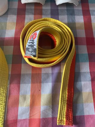 Lote de protecciones de taewondo y cinturones .