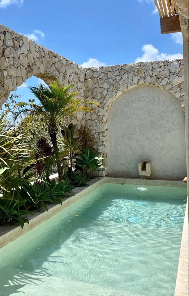 Gárgola de mármol caño para piscinas estanques
