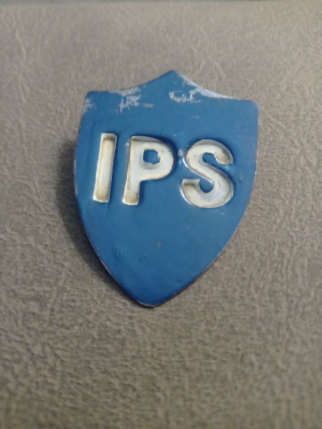 PLACA IPS