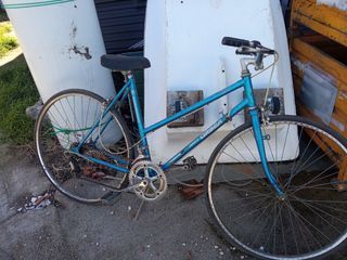 Bicicleta de paseo