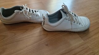 Zapato feroz adulto 