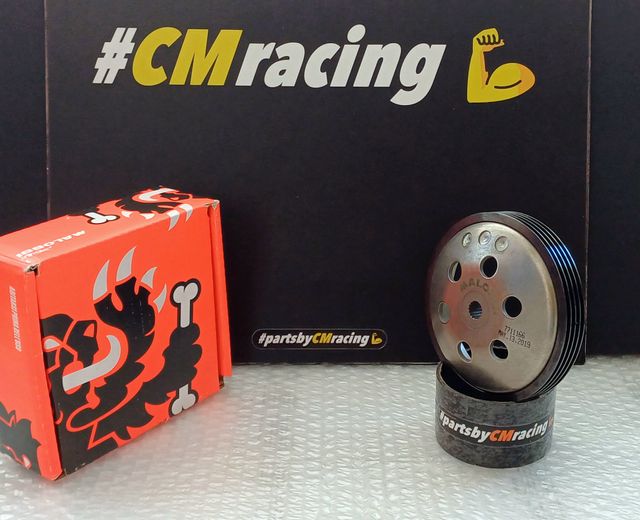 DERBI VARIANT - MINARELLI - CAMPANA MALOSSI WING