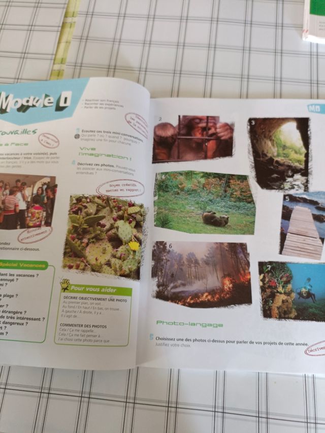 Libros escolares  de frances