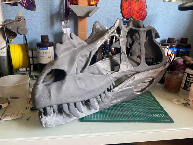 Dinosaurios - Cráneo Ceratosaurio 1:2