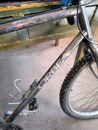 Bicicleta de montaña