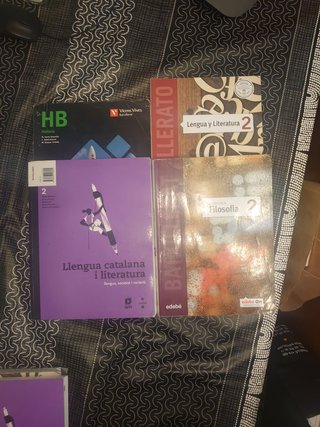 Català, Castellano Hªy Hª Filosofia 2º Batxillerat