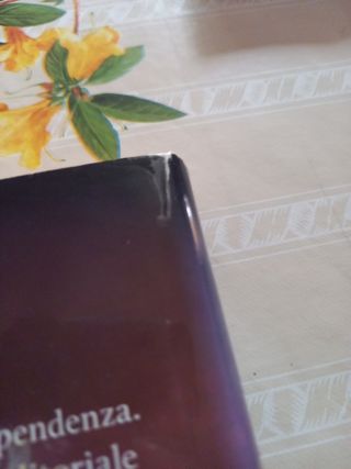 Il mio disastro sei tu Jamie Mcguire