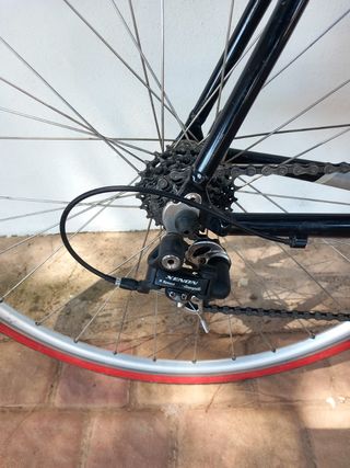 Bicicleta carretera massi